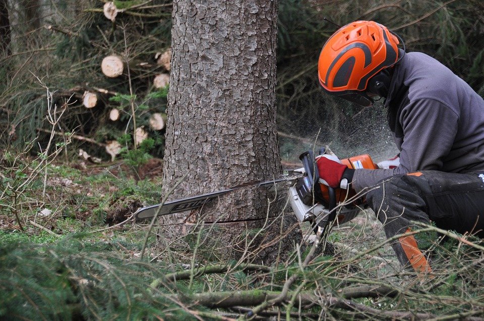 long duration learning