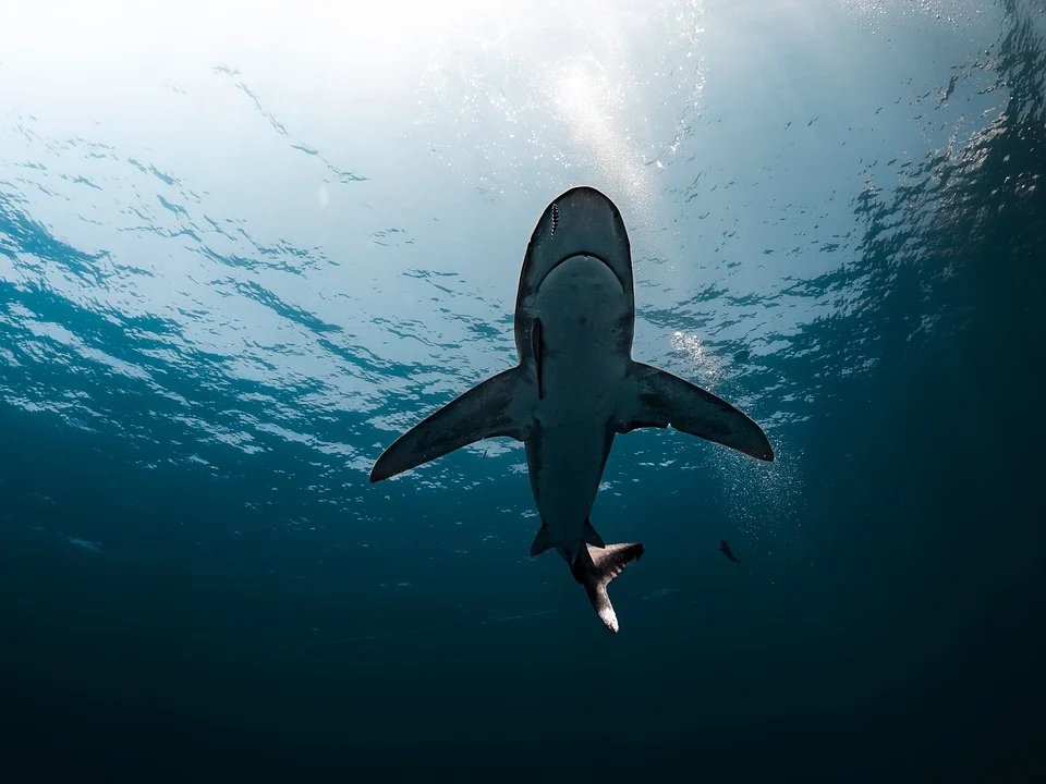 deep retention skills